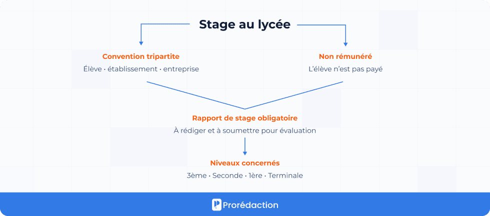 Stage au lycée