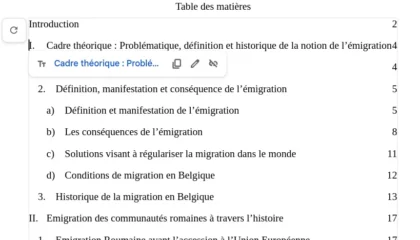 Exemple d’un mémoire : Emigrations des roumains en belgique et leurs motivations
