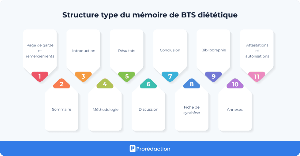 Structure type du mémoire de BTS diététique
